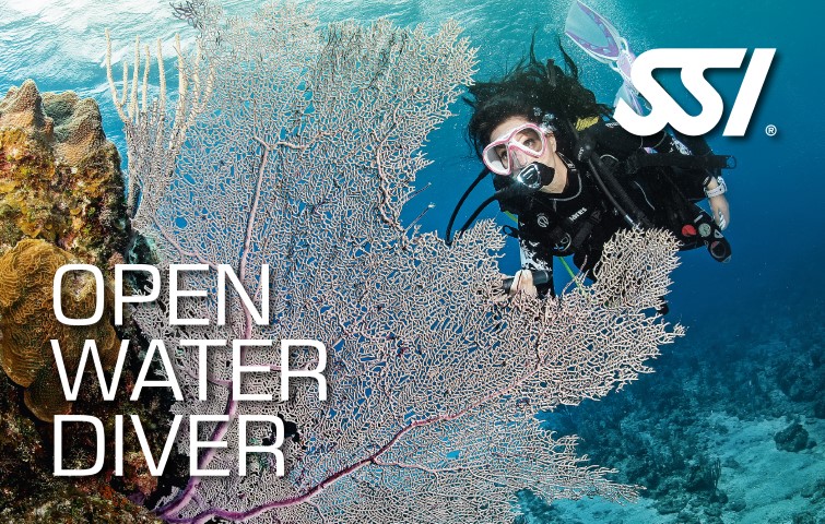 ssi open water diver, scuba diving courses, diving courses mackay