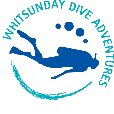 cruise whitsundays certified dive