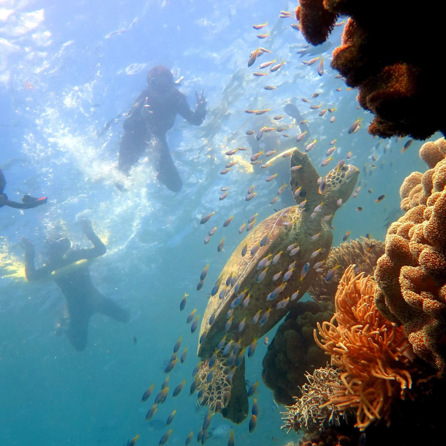 Full Day Private Charter - Whitsunday Islands