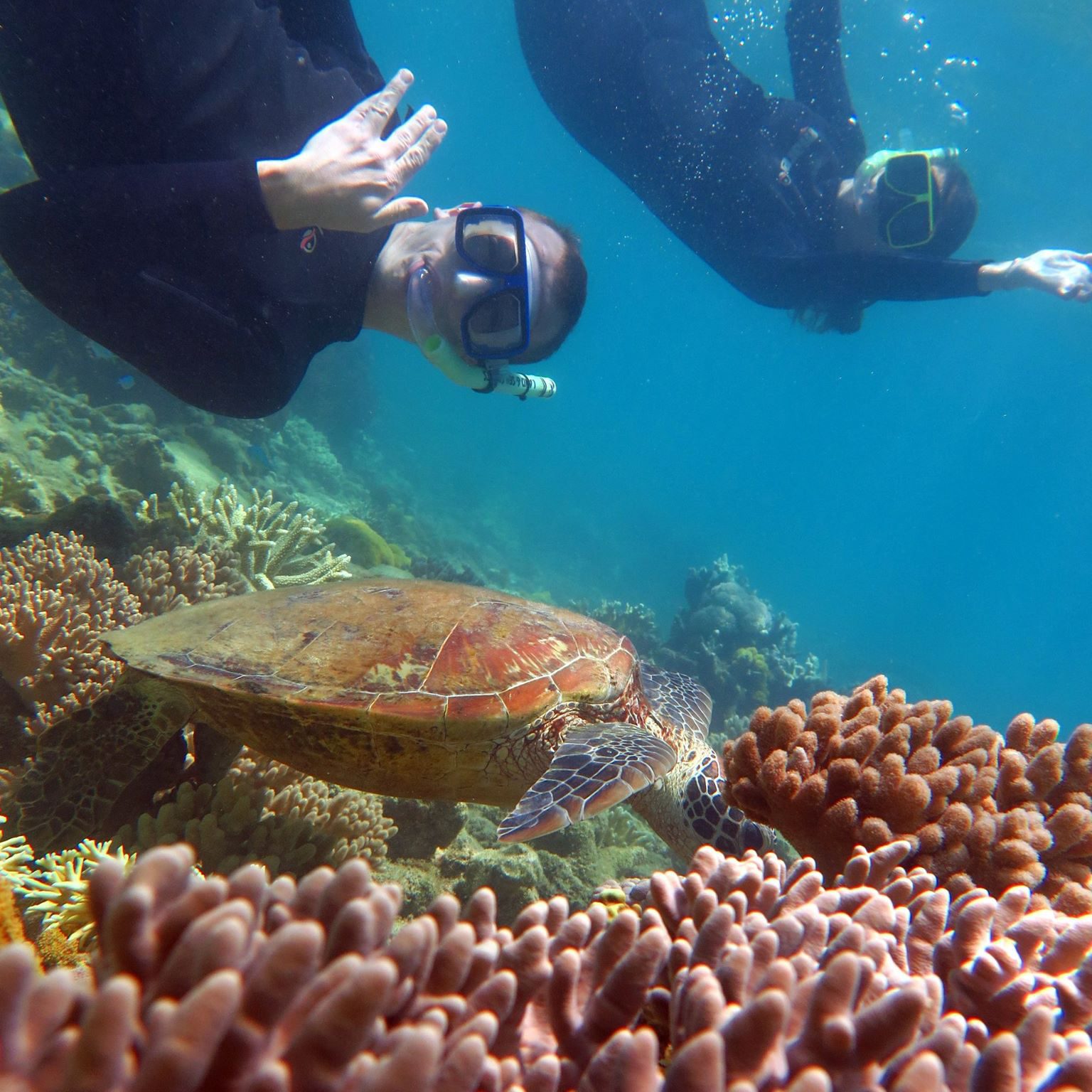 Full Day Private Charter - Whitsunday Islands