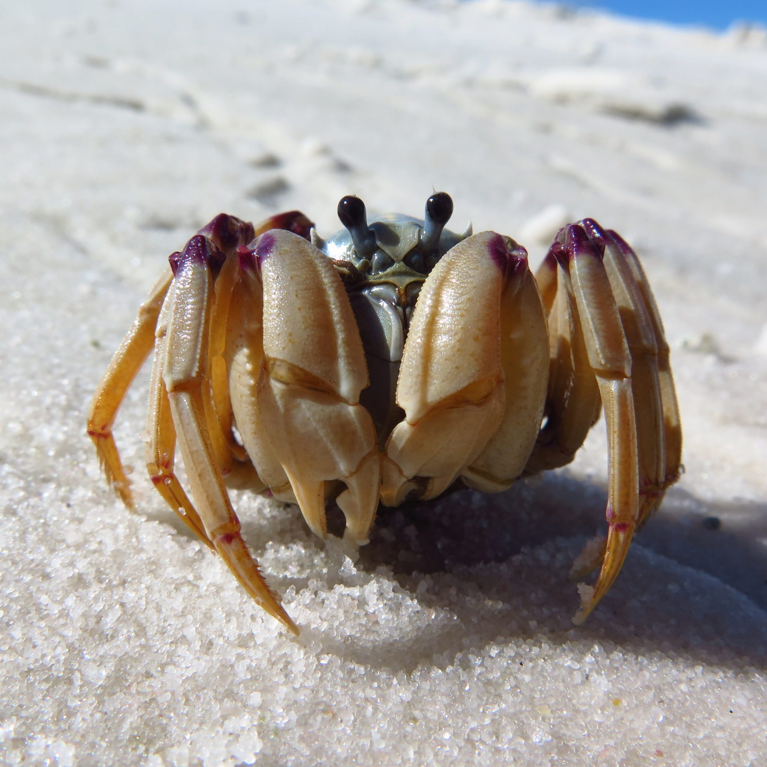 Full Day Private Charter - Whitsunday Islands