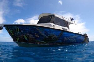 Whitsunday Dive Adventures specialty boat used for scuba diving tours and courses