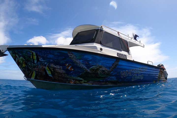 Whitsunday Dive Adventures specialty boat used for scuba diving tours and courses