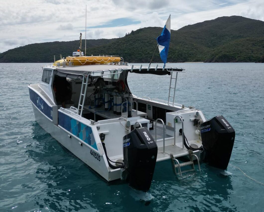 Whitsunday Dive Adventures Dive Catamaran Sharkbait 11m